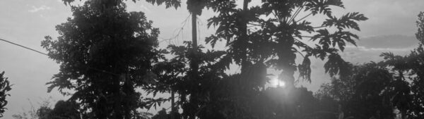 Unsere Rückfahrt – ein kurzer Blick auf 4 Reisetage